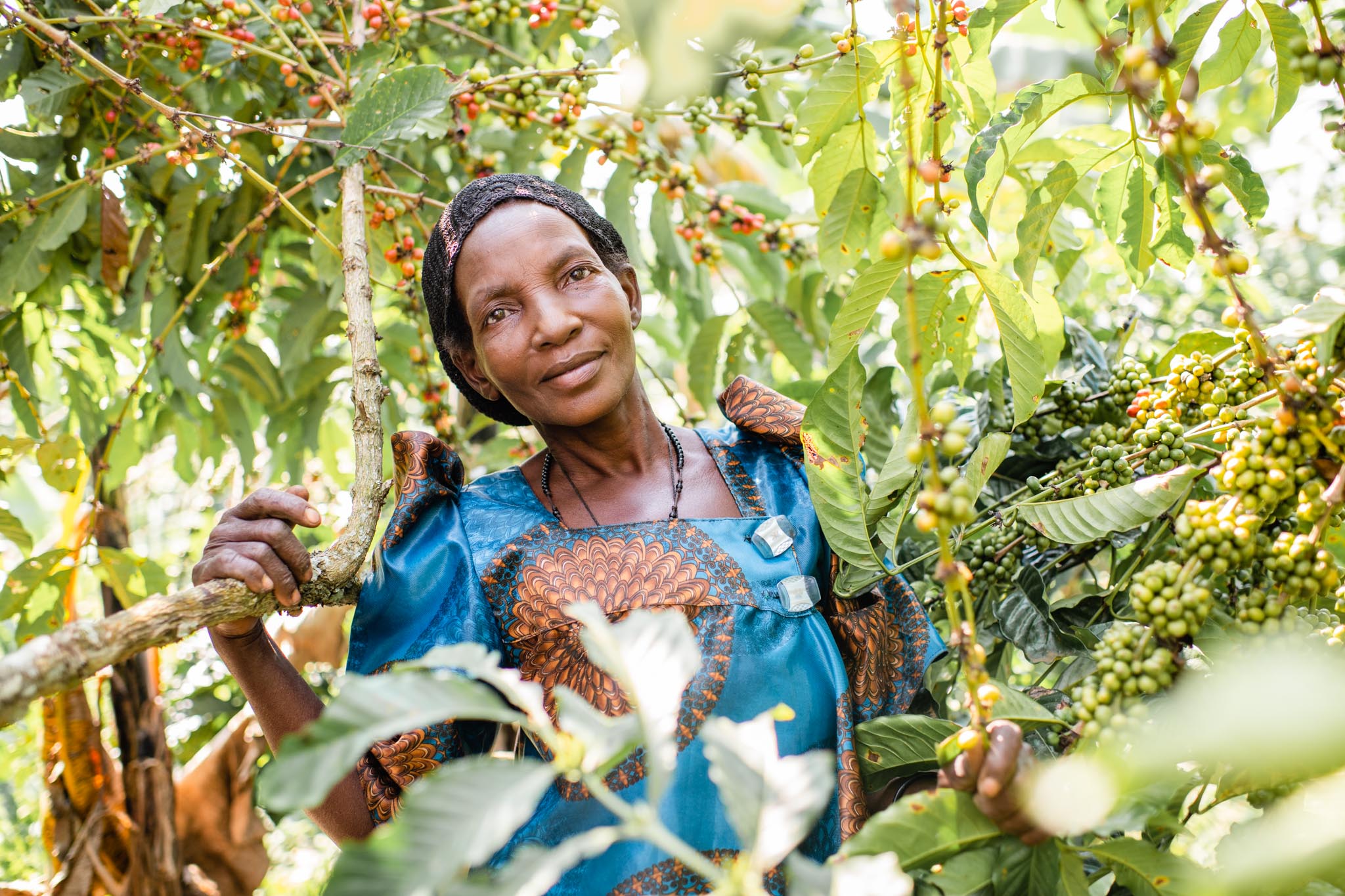 Fortune Coffee - Oeganda